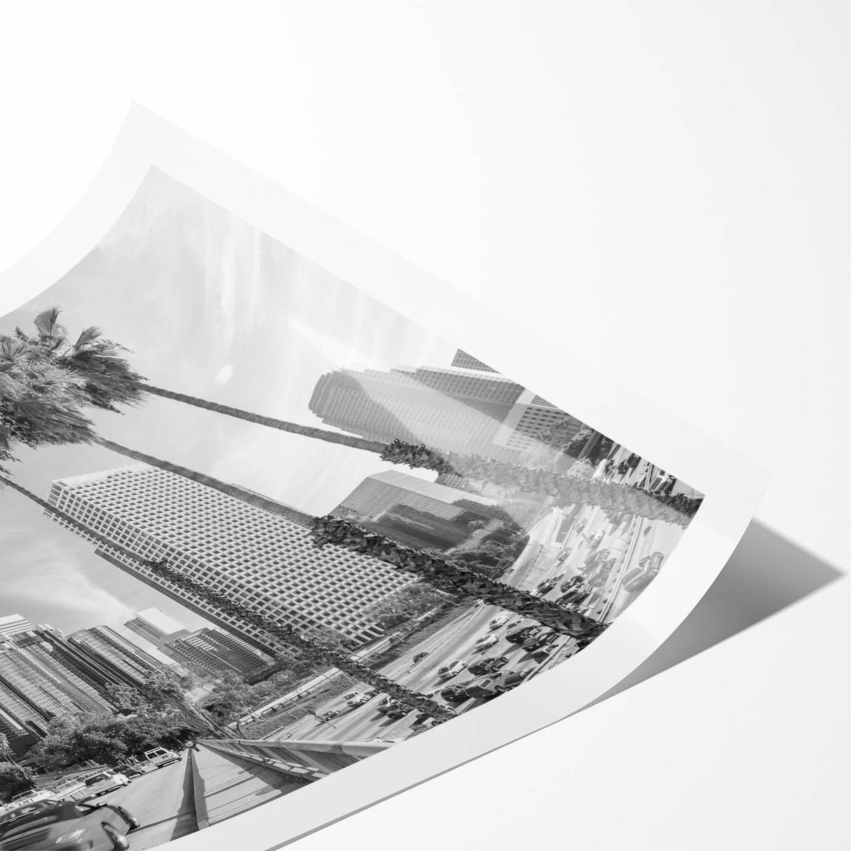 Extra large wall art featuring black line art flowers on a white canvas, suitable for large living room decor.