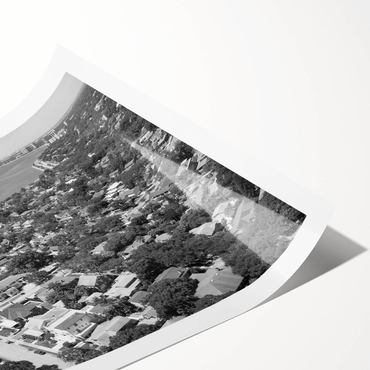 Extra large wall art featuring line art flowers in black on a white canvas, ideal for large living room decor.