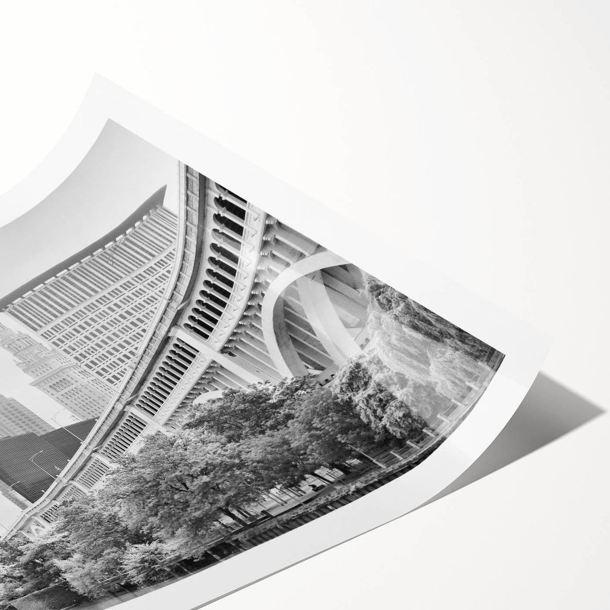 Extra large wall art featuring line art flowers in black on white canvas, ideal for large living room wall decor.