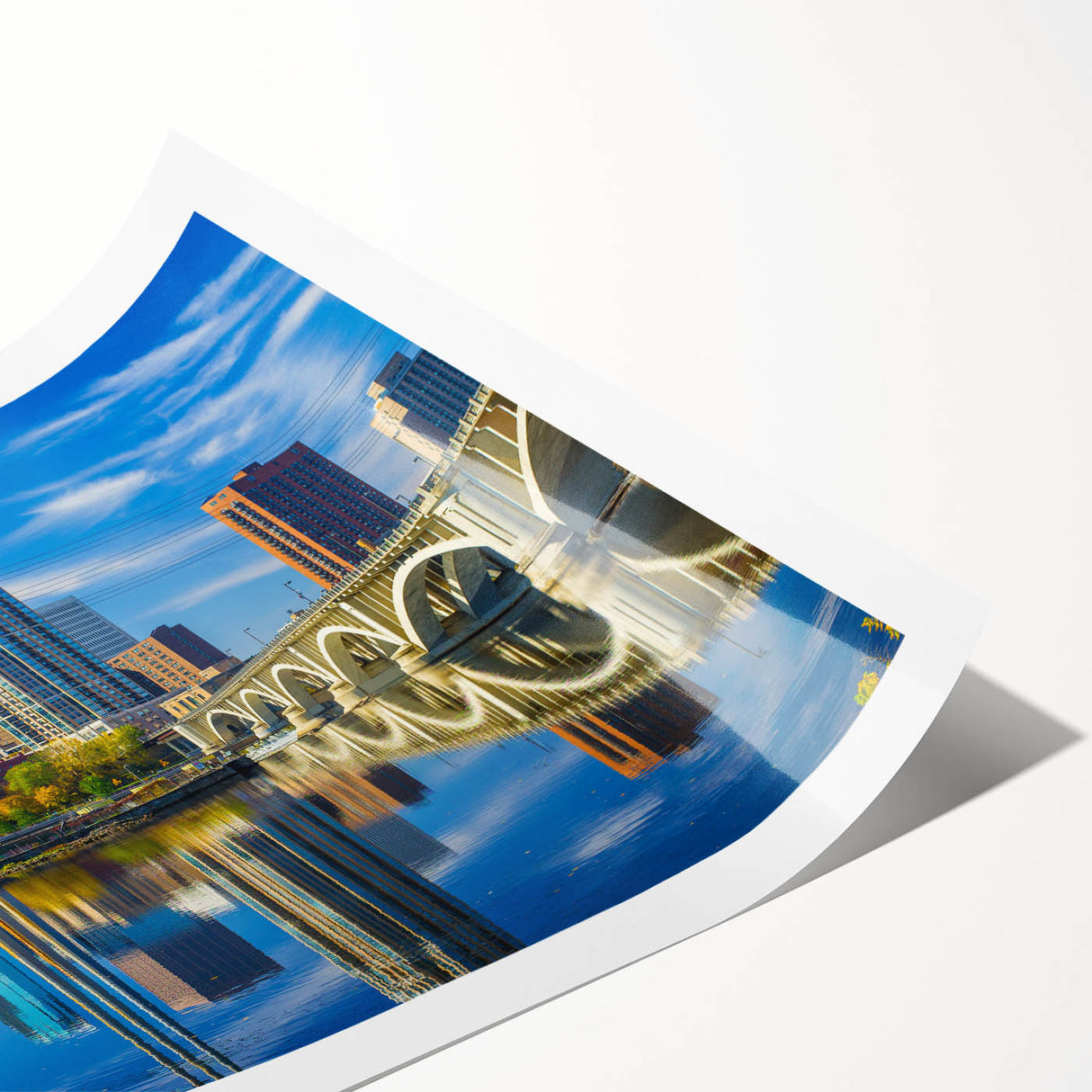 Extra large wall art featuring line art flowers in black on a white canvas, ideal for large living room decor.