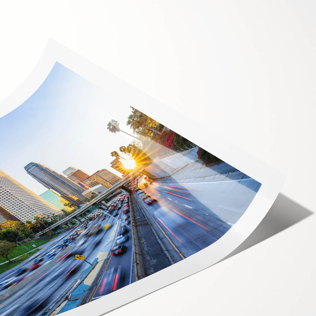 Extra large wall art featuring minimalist line art flowers in black on white canvas, suitable for large living room decor.