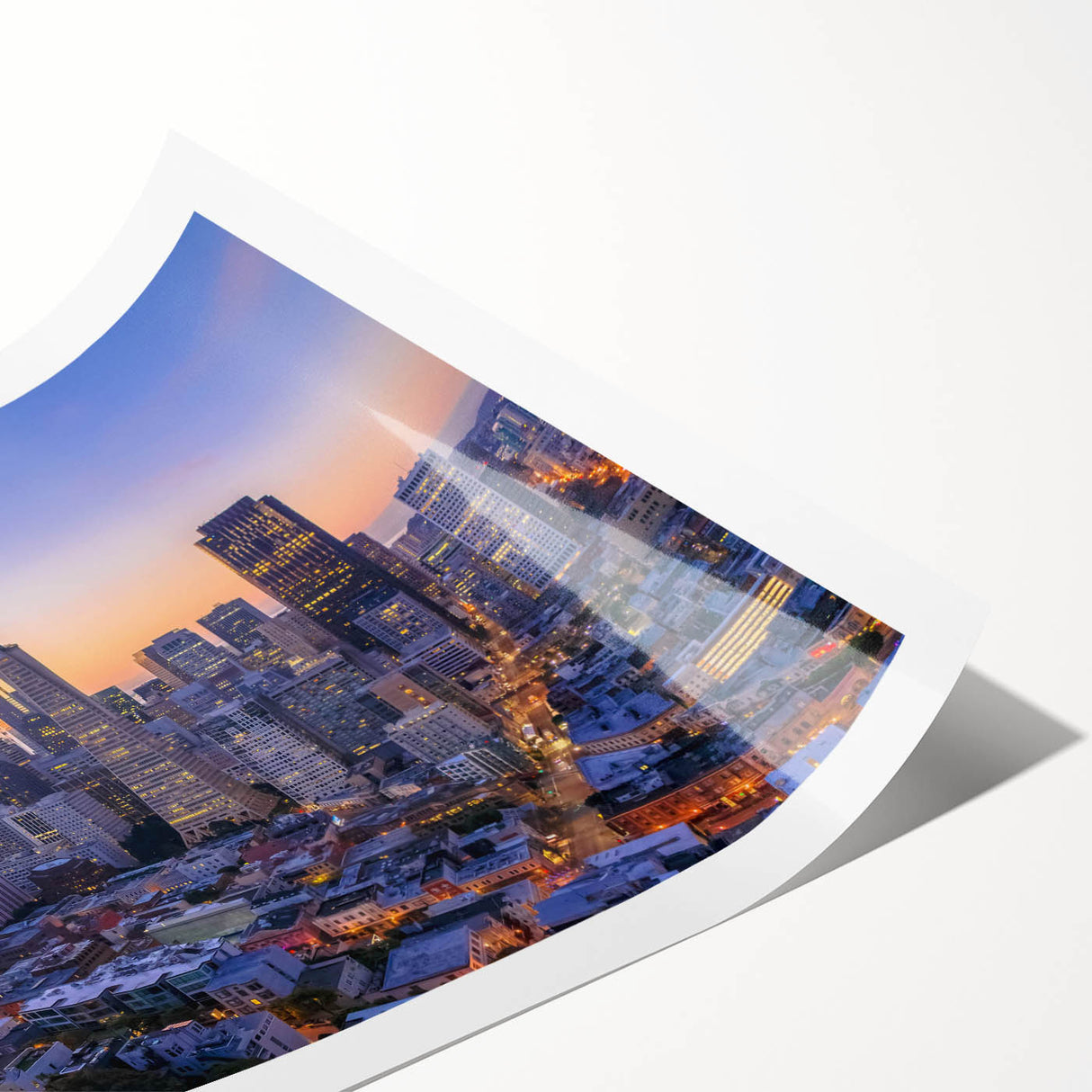 Extra large wall art featuring line art flowers in black on a white canvas, suitable for large living room decor.