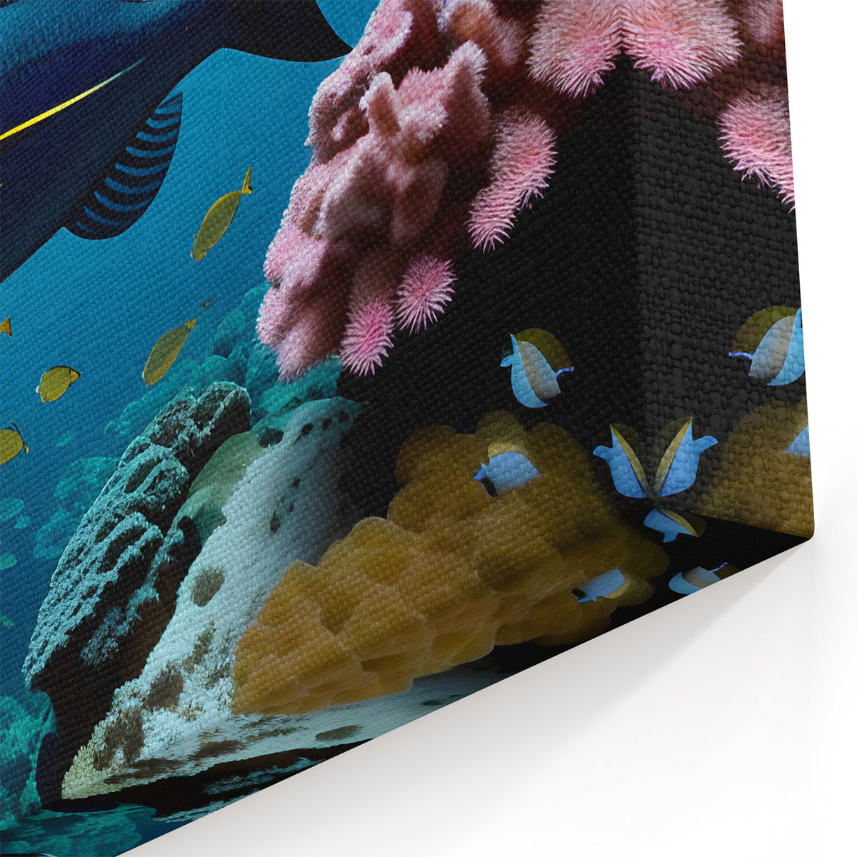Bermuda Photography Prints - Vibrant Underwater Coral and Fish Scene