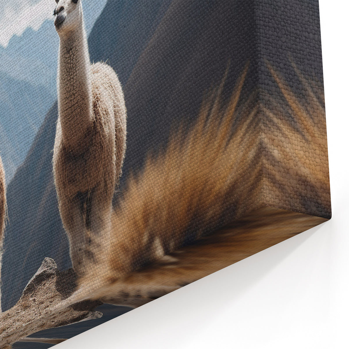 Majestic Llamas in Andean Mountains Canvas - Peru Art