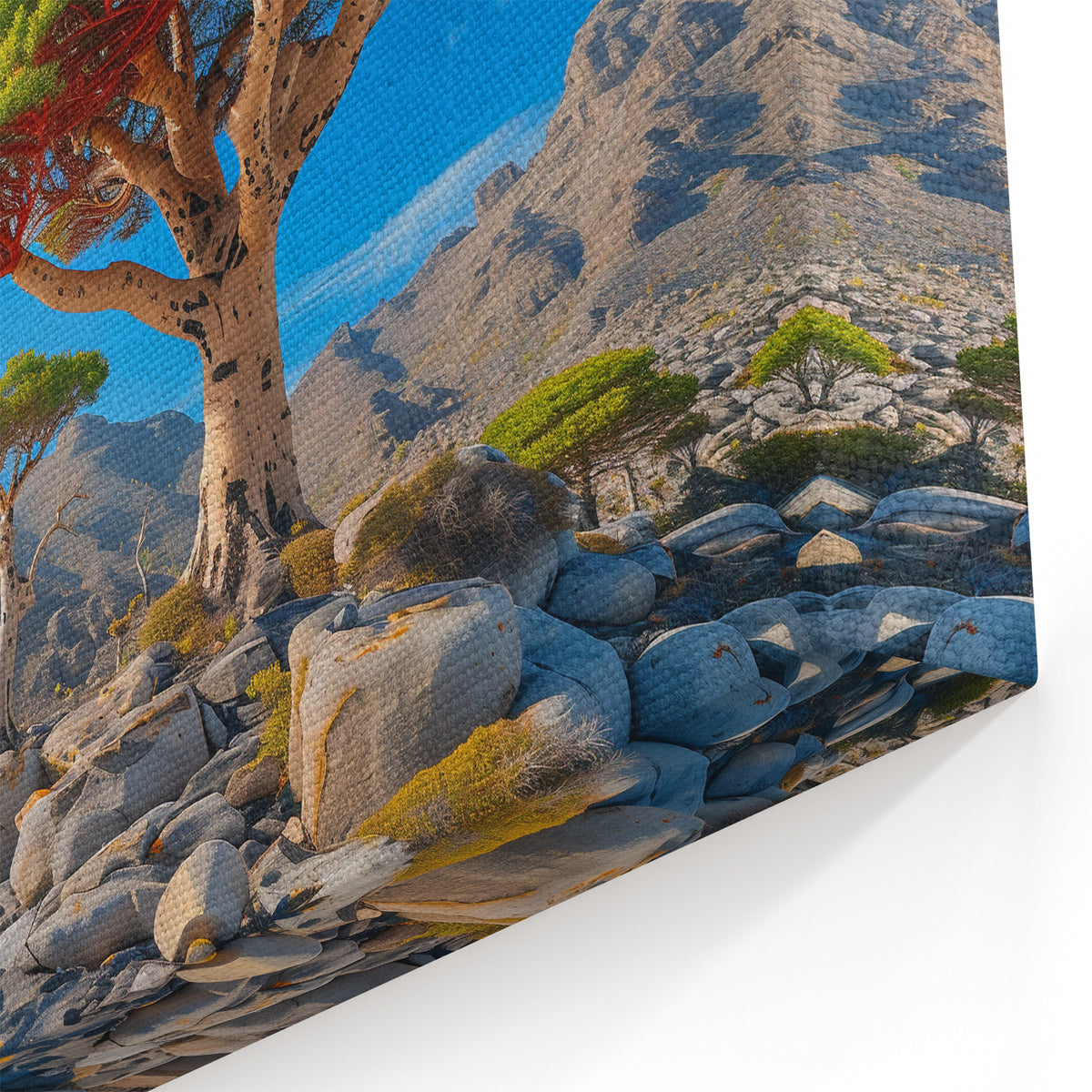 Yemen Wall Art - Stunning Socotra Landscape in Middle Eastern Art Prints