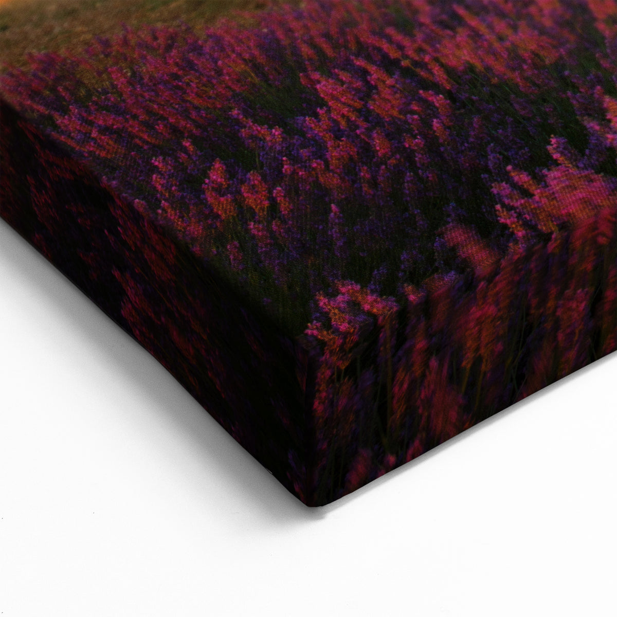 Lavender Field Art Prints - Scenic Provence Sunset French Countryside Art