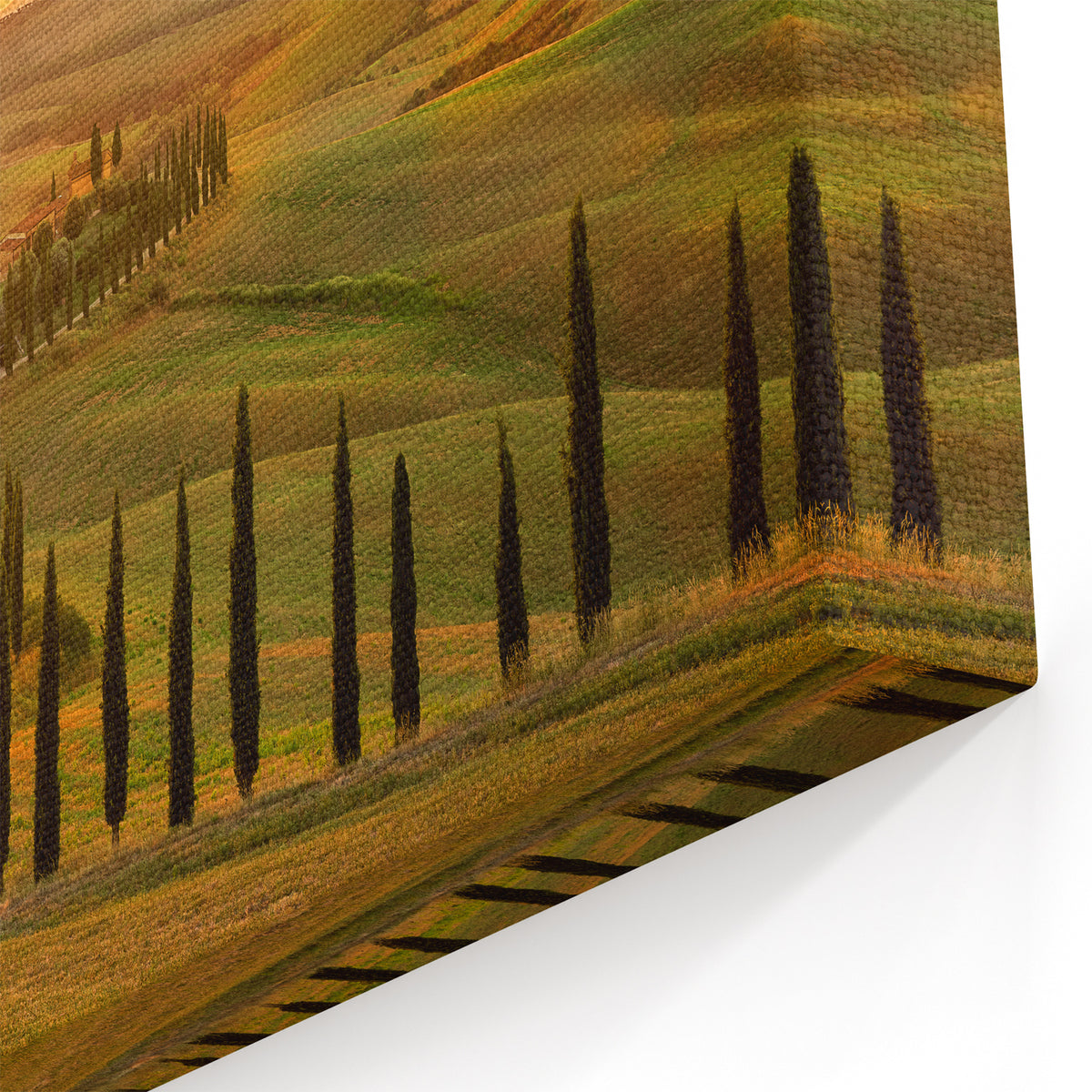 Italy Scenery Art – Tuscan Hills and Cypress Trees at Sunset Print