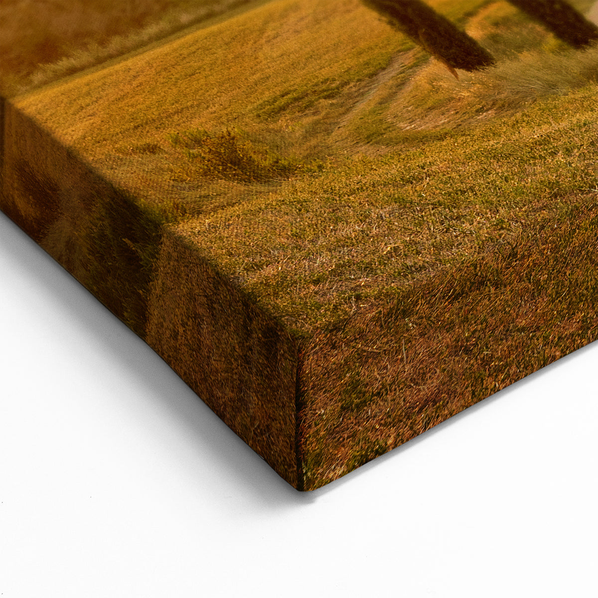 Italy Scenery Art – Tuscan Hills and Cypress Trees at Sunset Print