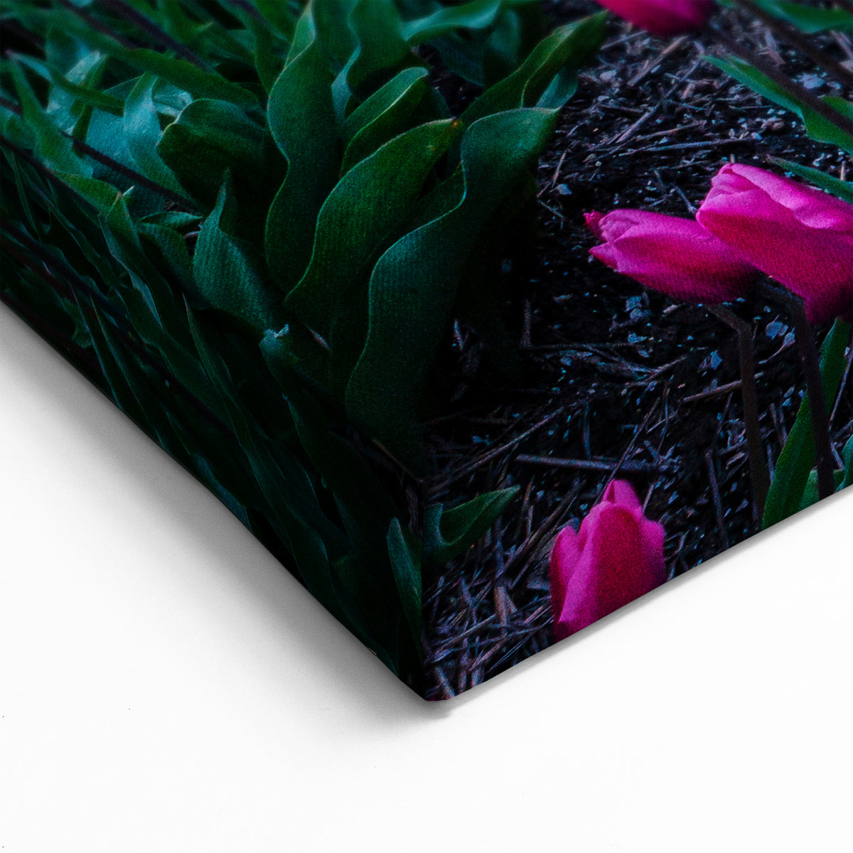 Tulip Field Artwork - Netherlands Travel Poster at Sunset