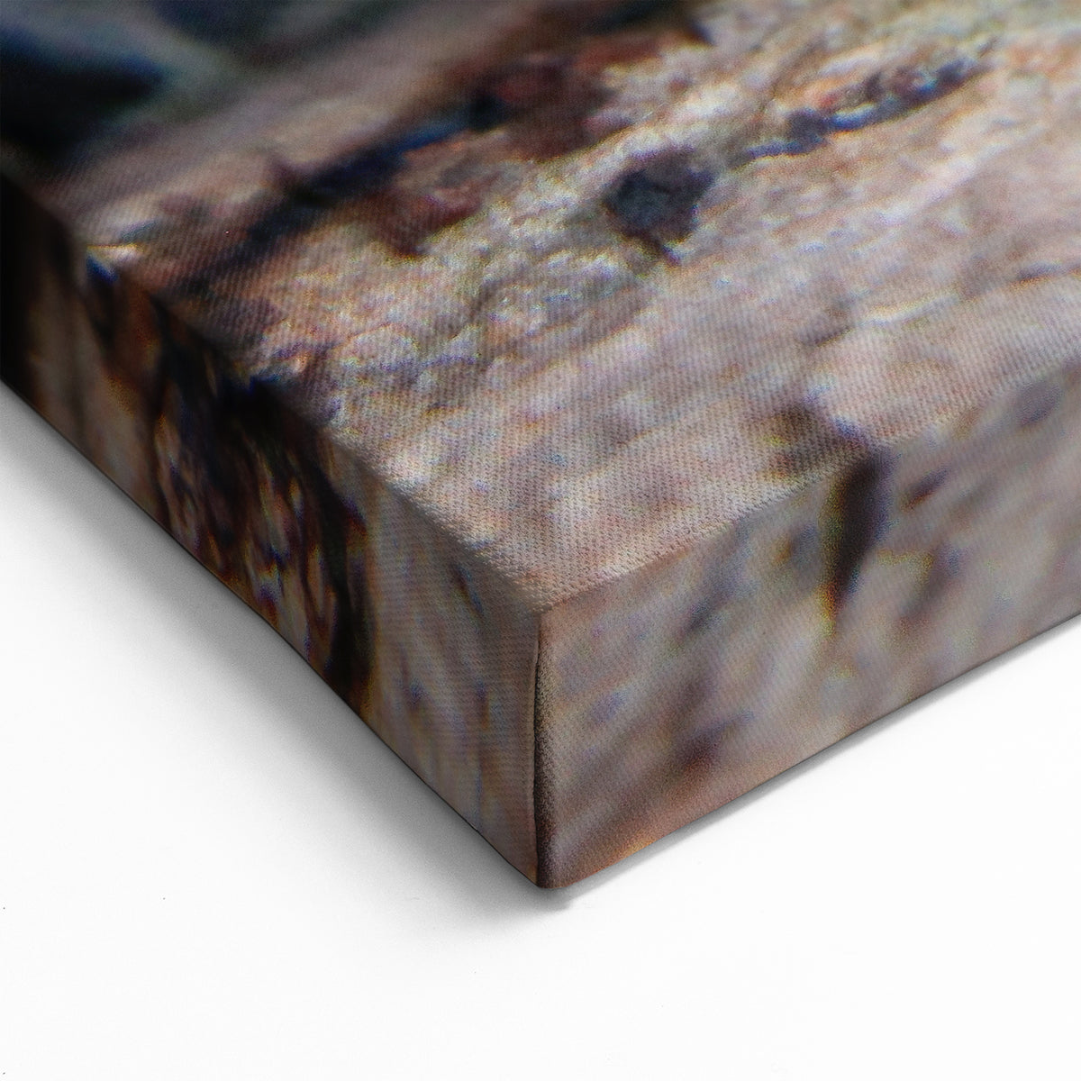 Pennsylvania Nature Art - Close-Up of Vibrant Mushroom Patterns Framed Art
