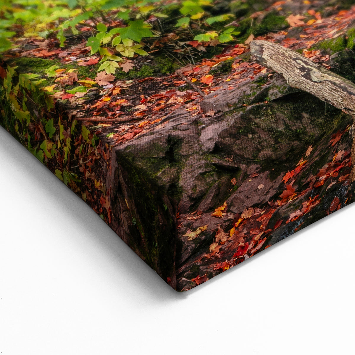 Upper Peninsula Scenic Art - Autumn Waterfall Canvas Michigan Print