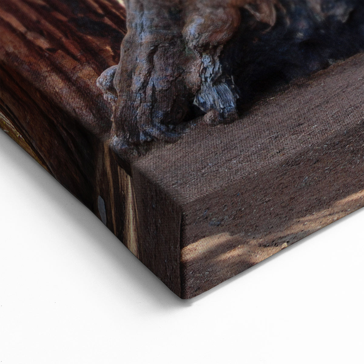 Sequoia National Park Art – Majestic Towering Trees Canvas and Framed Prints