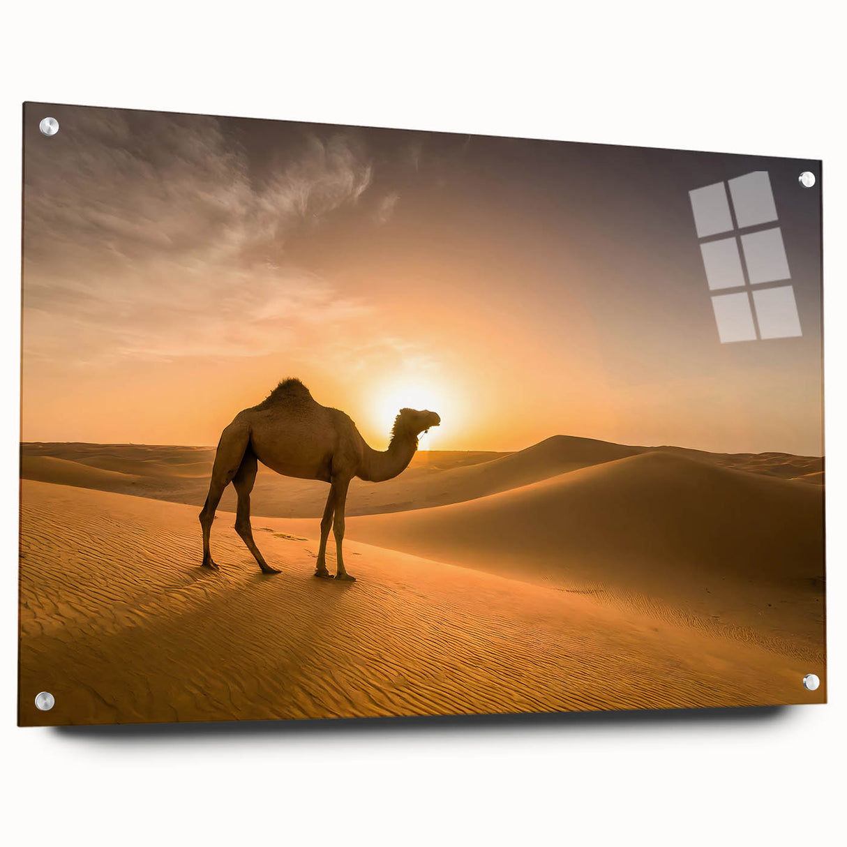 Modern Minimalist Landscape Prints – Camel at Golden Desert Sunset