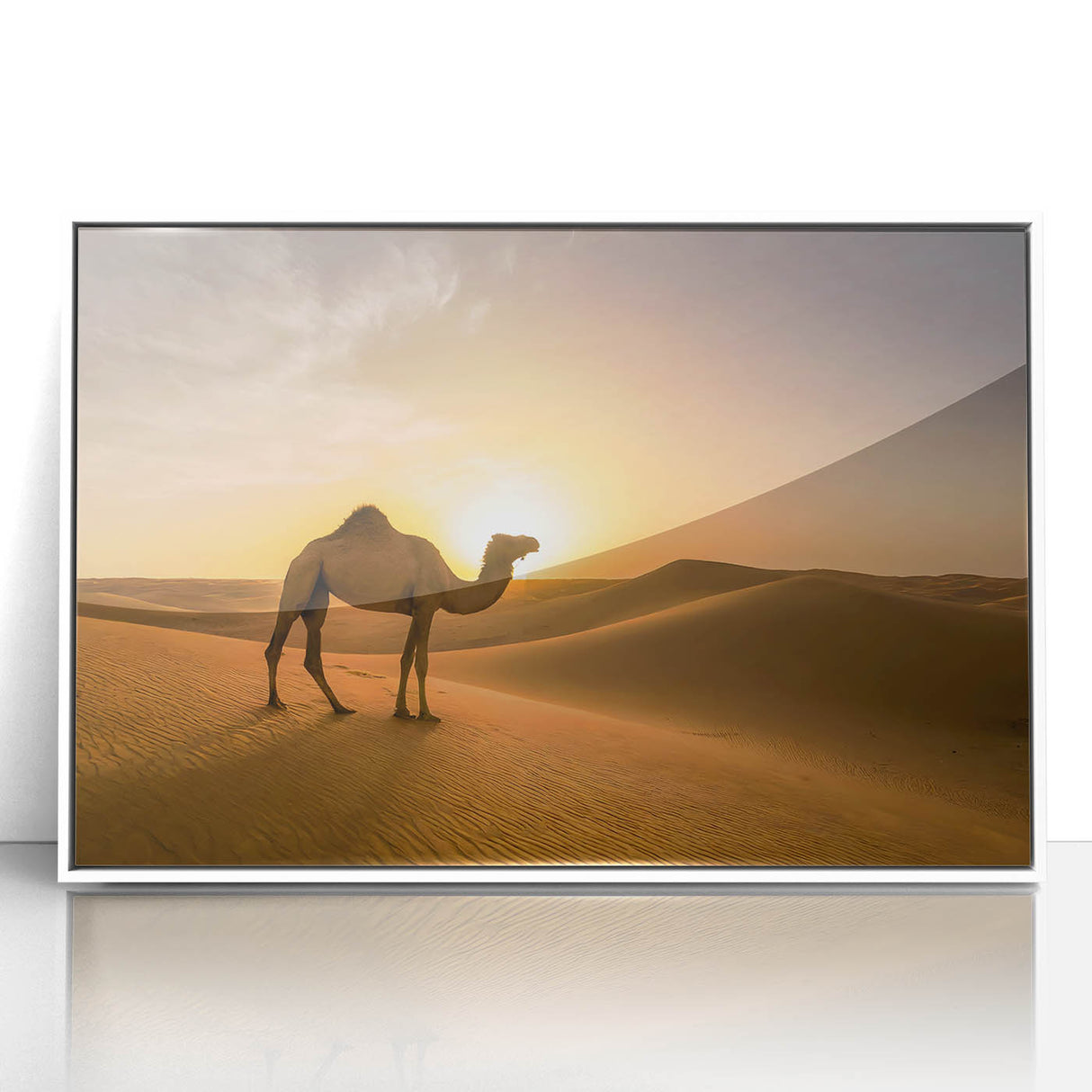 Modern Minimalist Landscape Prints – Camel at Golden Desert Sunset