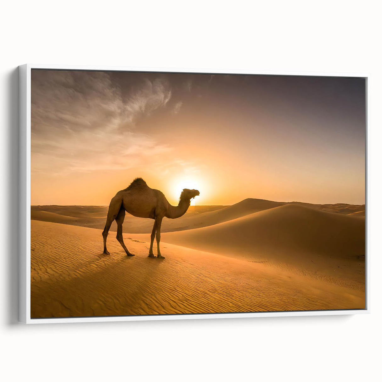 Modern Minimalist Landscape Prints – Camel at Golden Desert Sunset