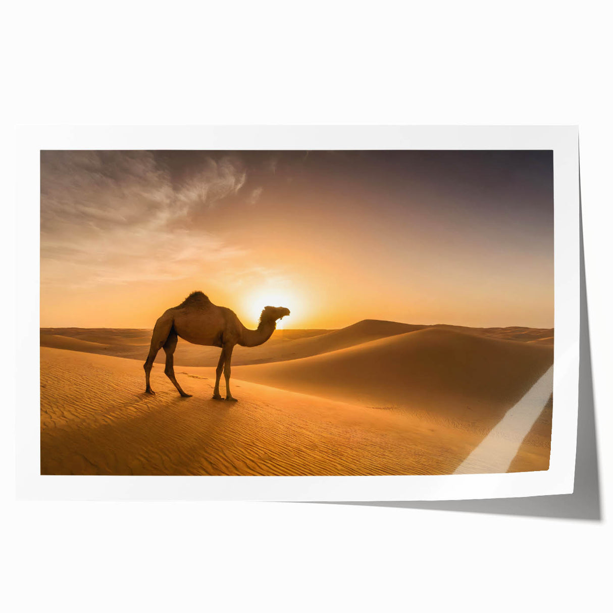 Modern Minimalist Landscape Prints – Camel at Golden Desert Sunset
