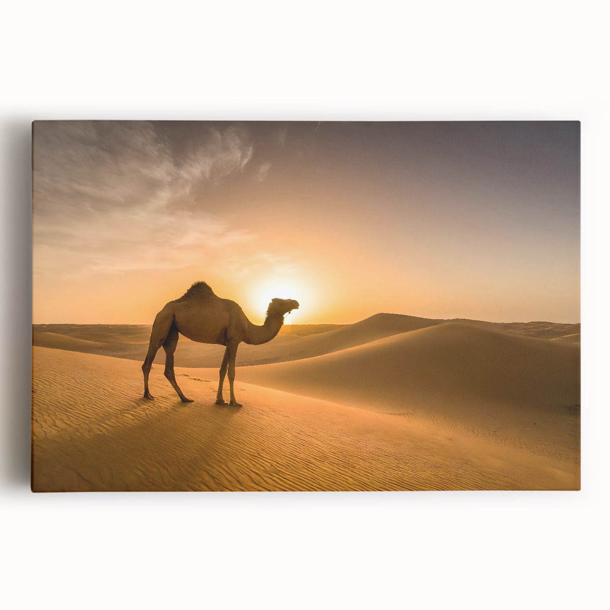 Modern Minimalist Landscape Prints – Camel at Golden Desert Sunset
