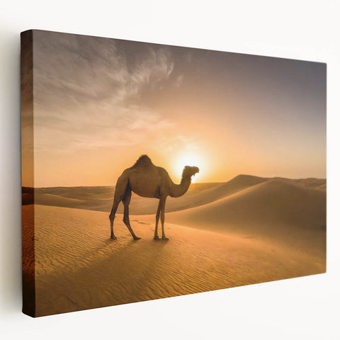 Modern Minimalist Landscape Prints – Camel at Golden Desert Sunset