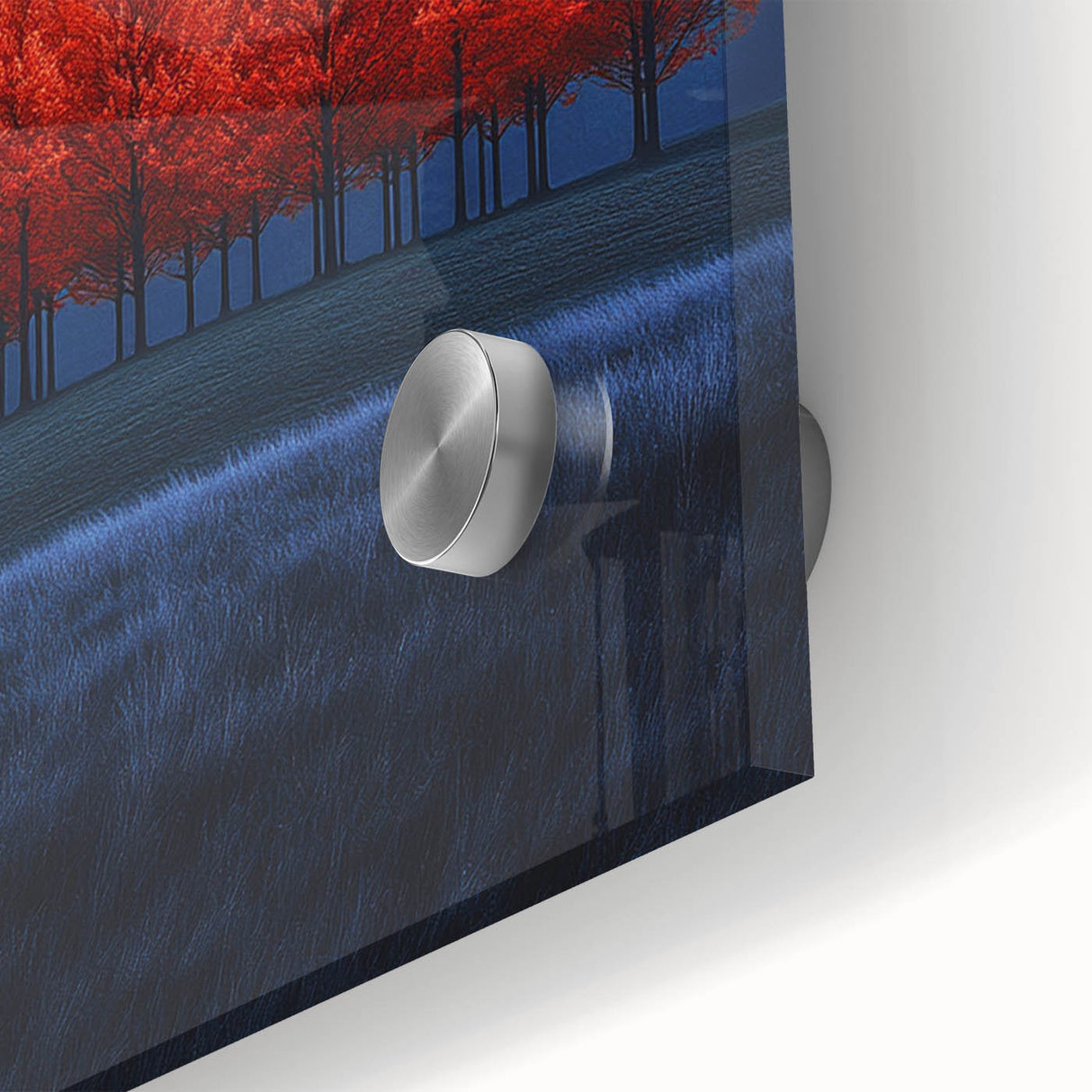 Vibrant Red Trees - Fine Art Photography Canvas Prints