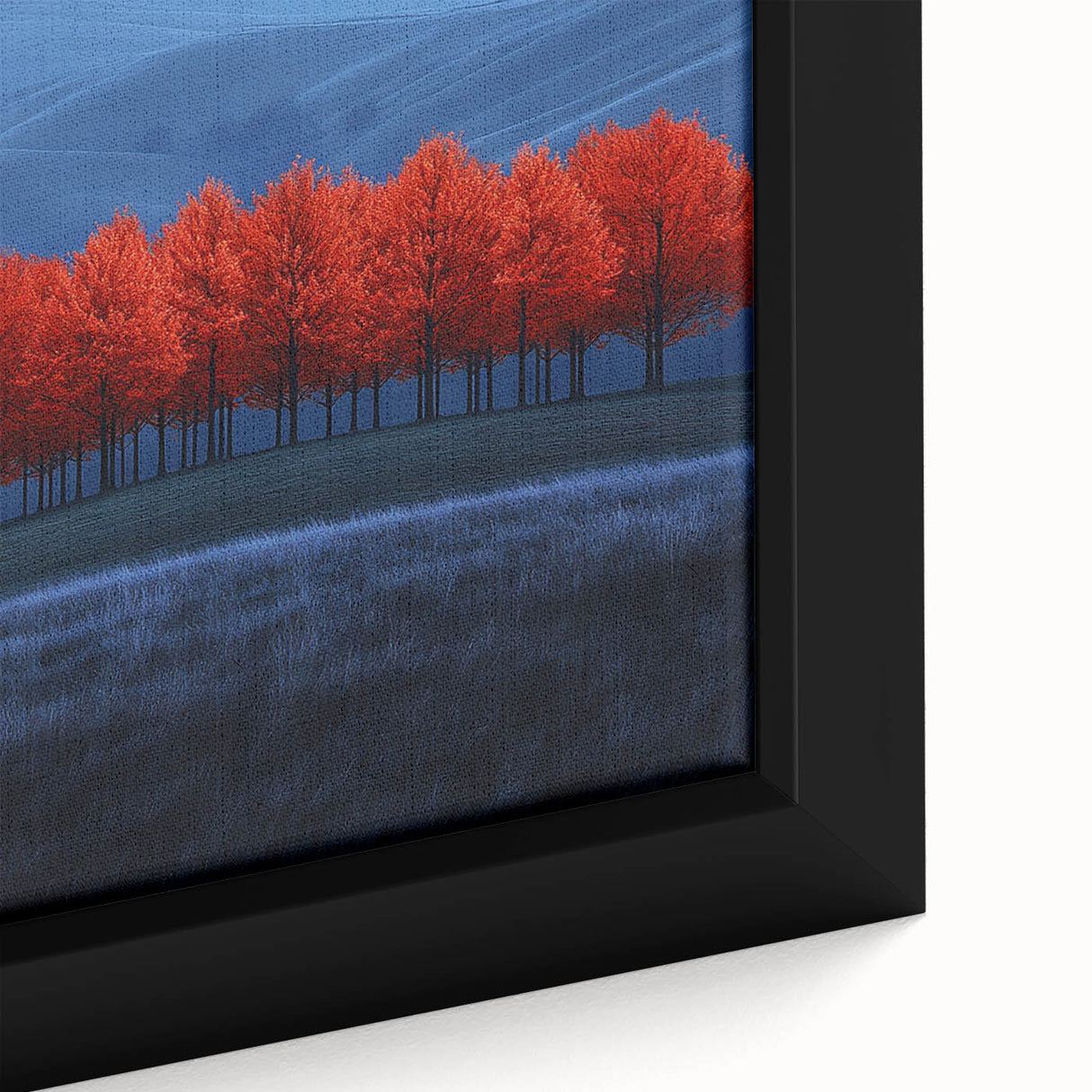 Vibrant Red Trees - Fine Art Photography Canvas Prints