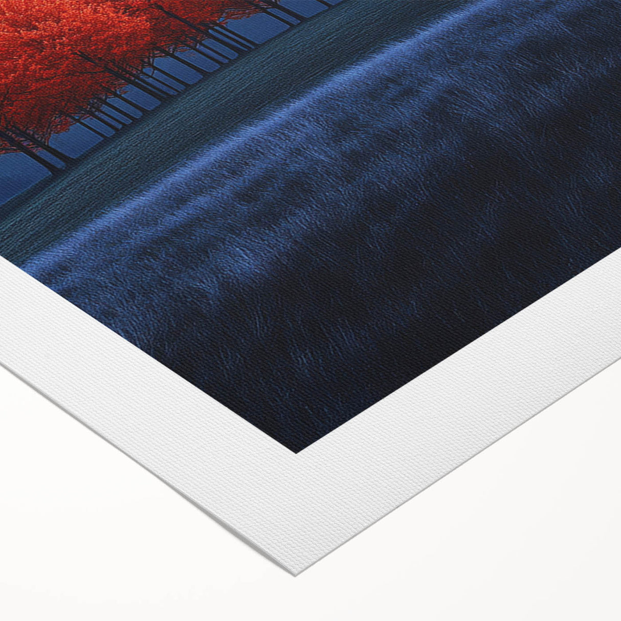 Vibrant Red Trees - Fine Art Photography Canvas Prints