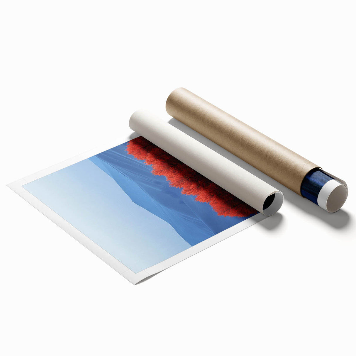 Vibrant Red Trees - Fine Art Photography Canvas Prints