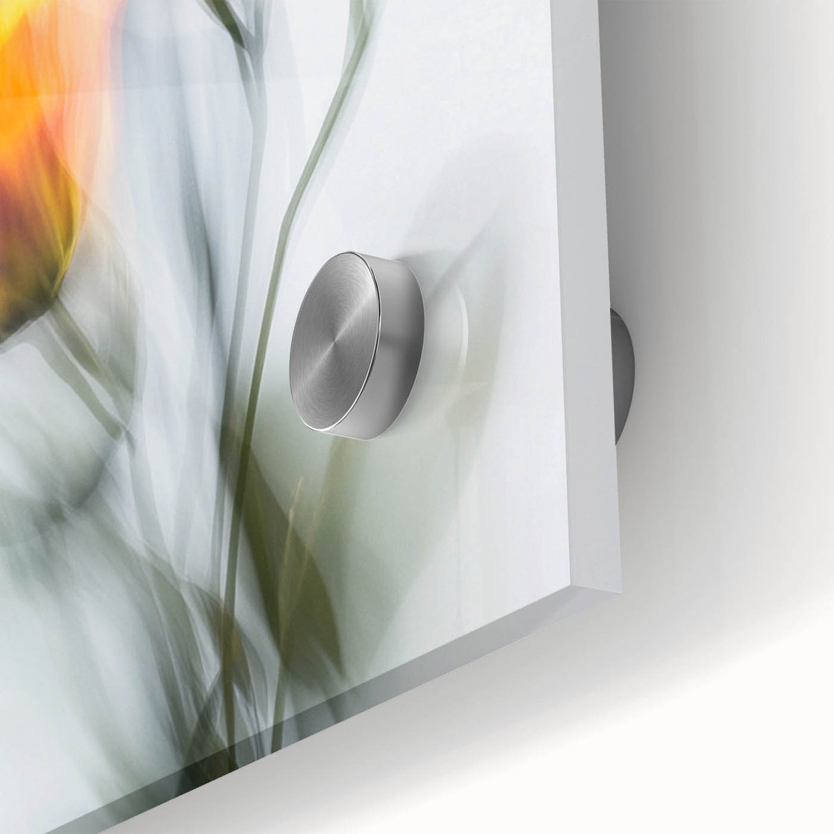 Vibrant Tulip Trio - Fine Art Photography Limited Edition Prints