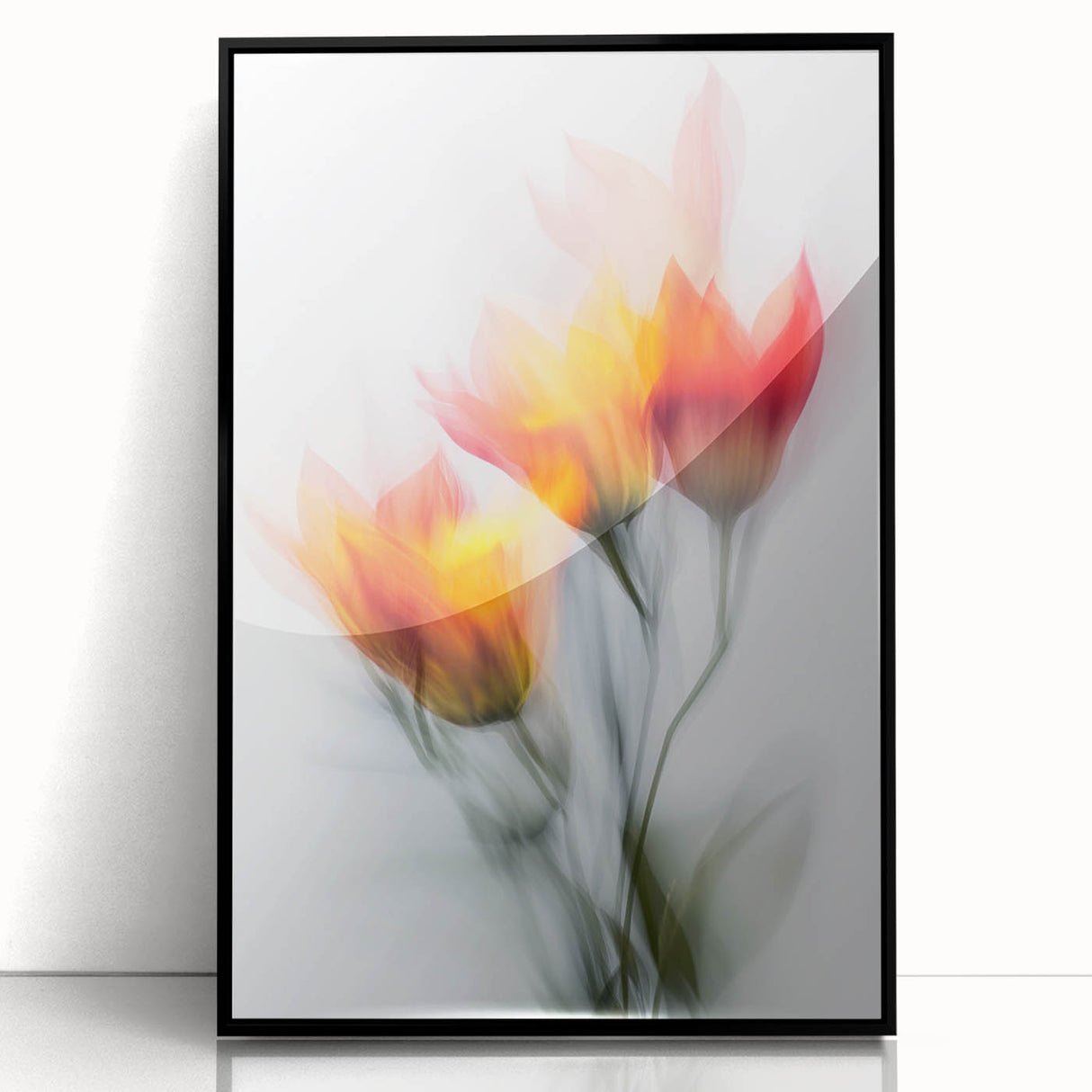 Vibrant Tulip Trio - Fine Art Photography Limited Edition Prints