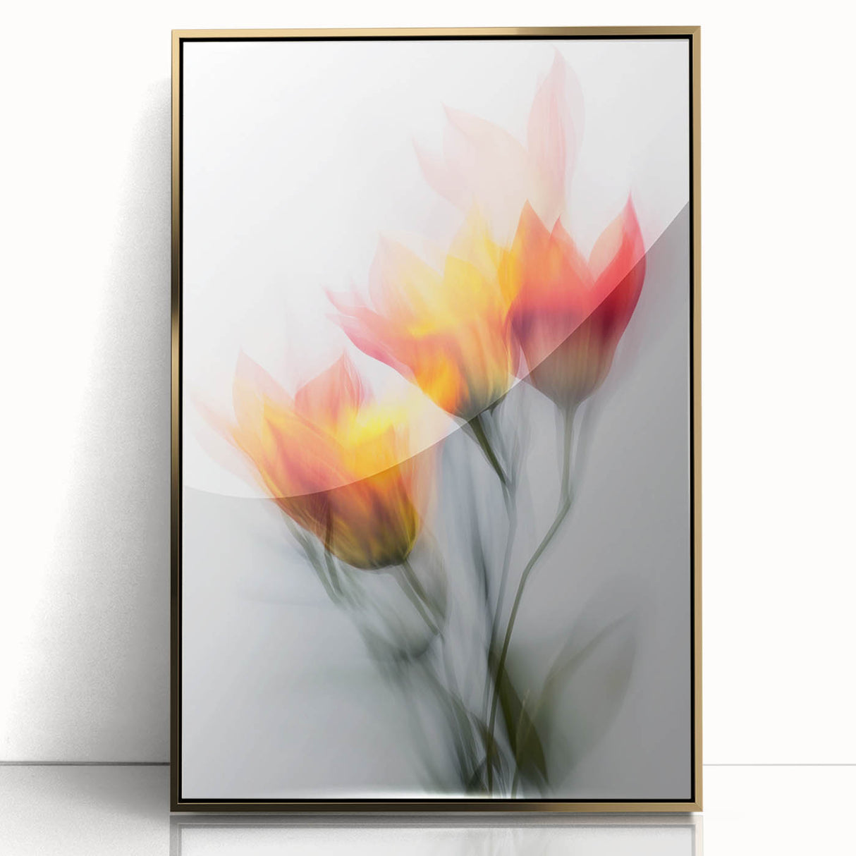 Vibrant Tulip Trio - Fine Art Photography Limited Edition Prints