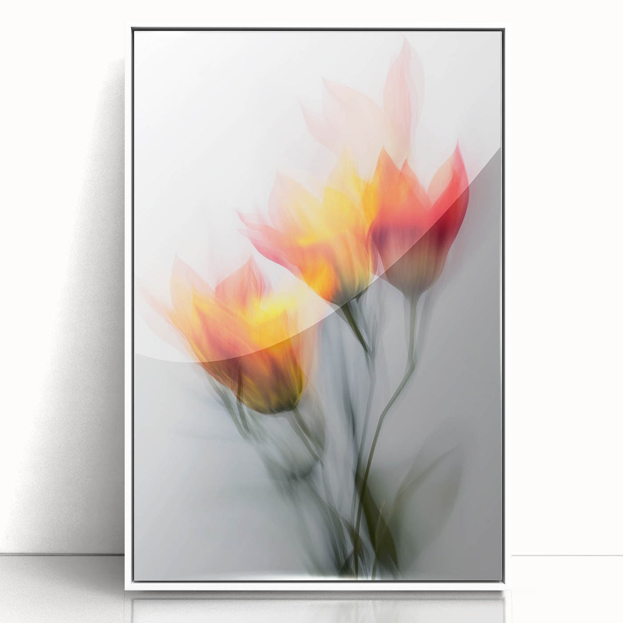 Vibrant Tulip Trio - Fine Art Photography Limited Edition Prints