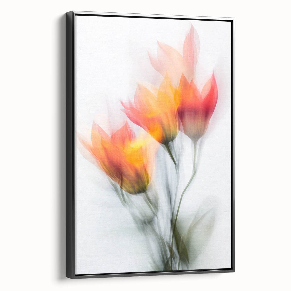 Vibrant Tulip Trio - Fine Art Photography Limited Edition Prints