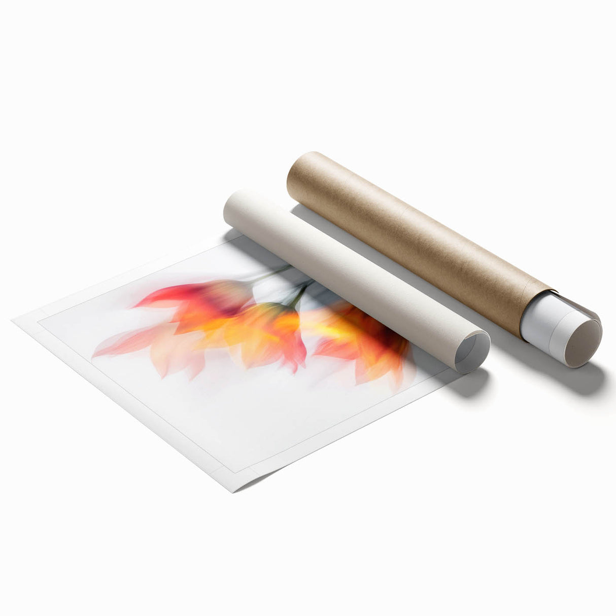 Vibrant Tulip Trio - Fine Art Photography Limited Edition Prints