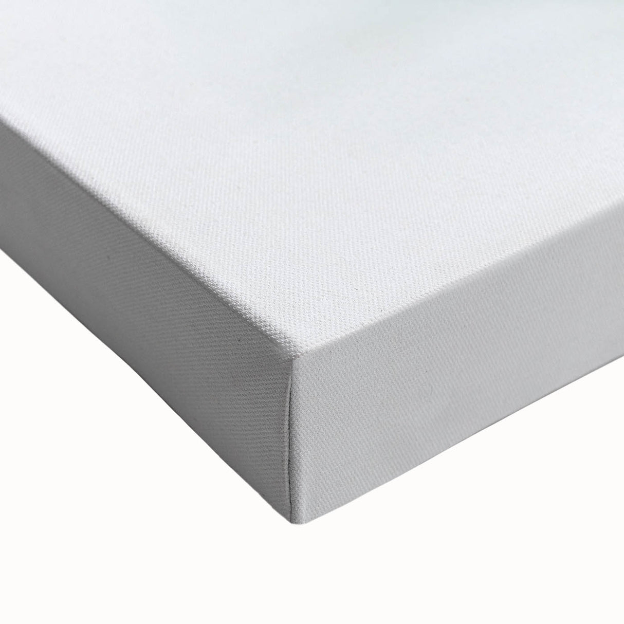 Vibrant Tulip Trio - Fine Art Photography Limited Edition Prints