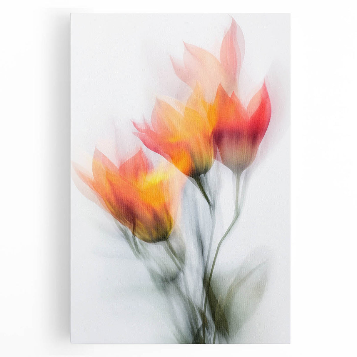 Vibrant Tulip Trio - Fine Art Photography Limited Edition Prints
