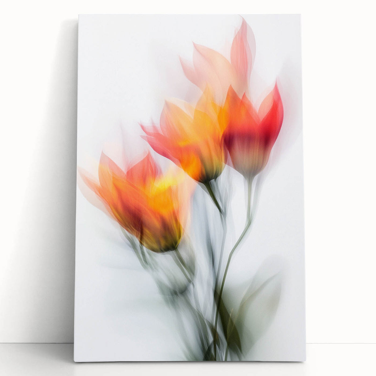 Vibrant Tulip Trio - Fine Art Photography Limited Edition Prints