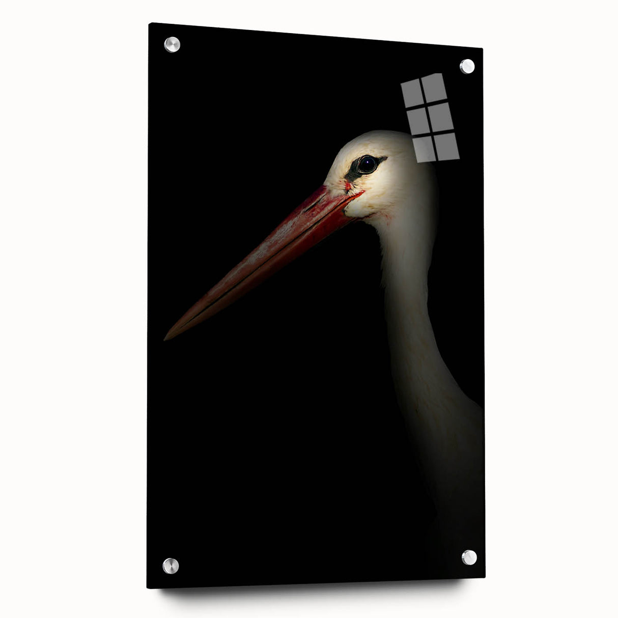 Stork in Shadows - Fine Art Photography Framed Prints