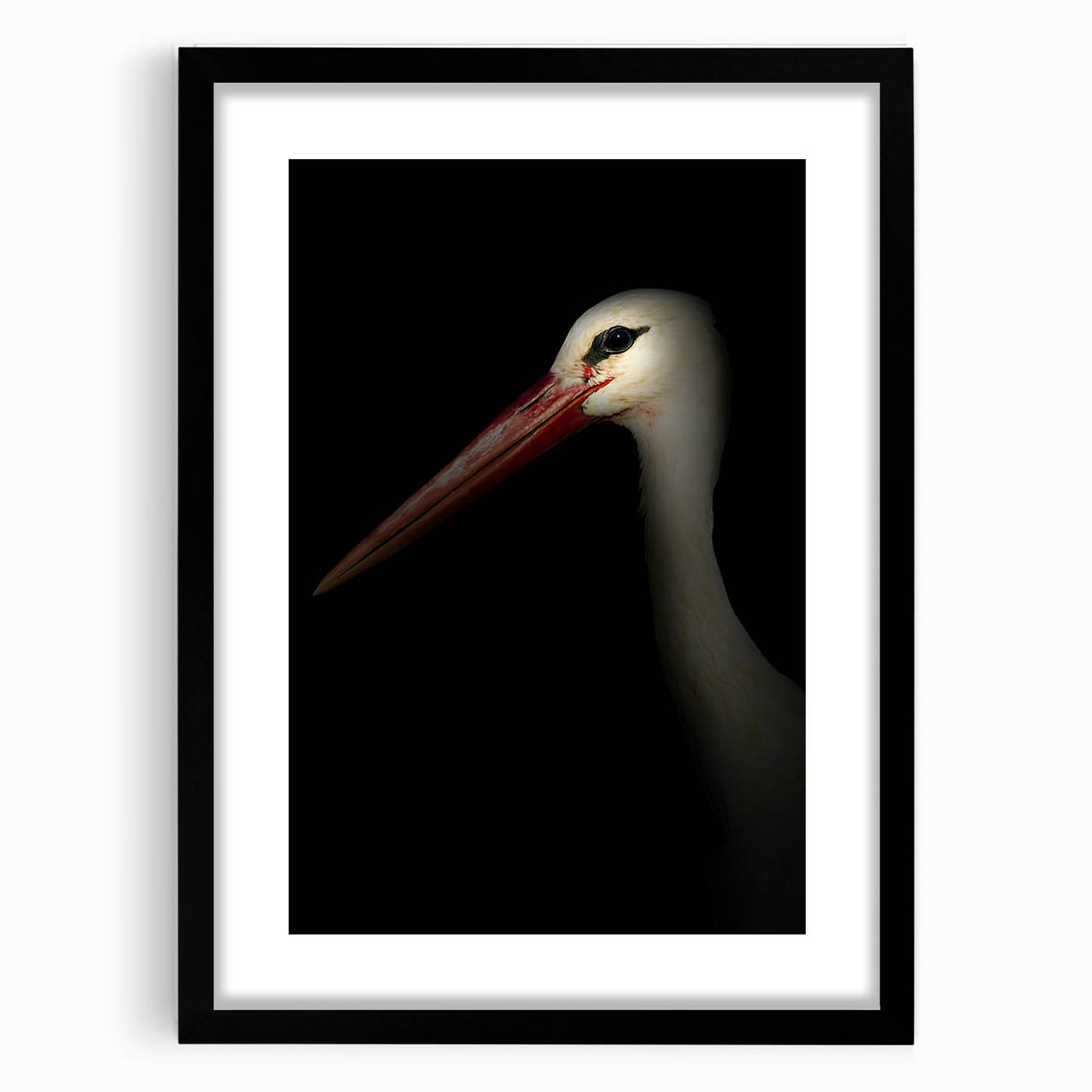 Stork in Shadows - Fine Art Photography Framed Prints