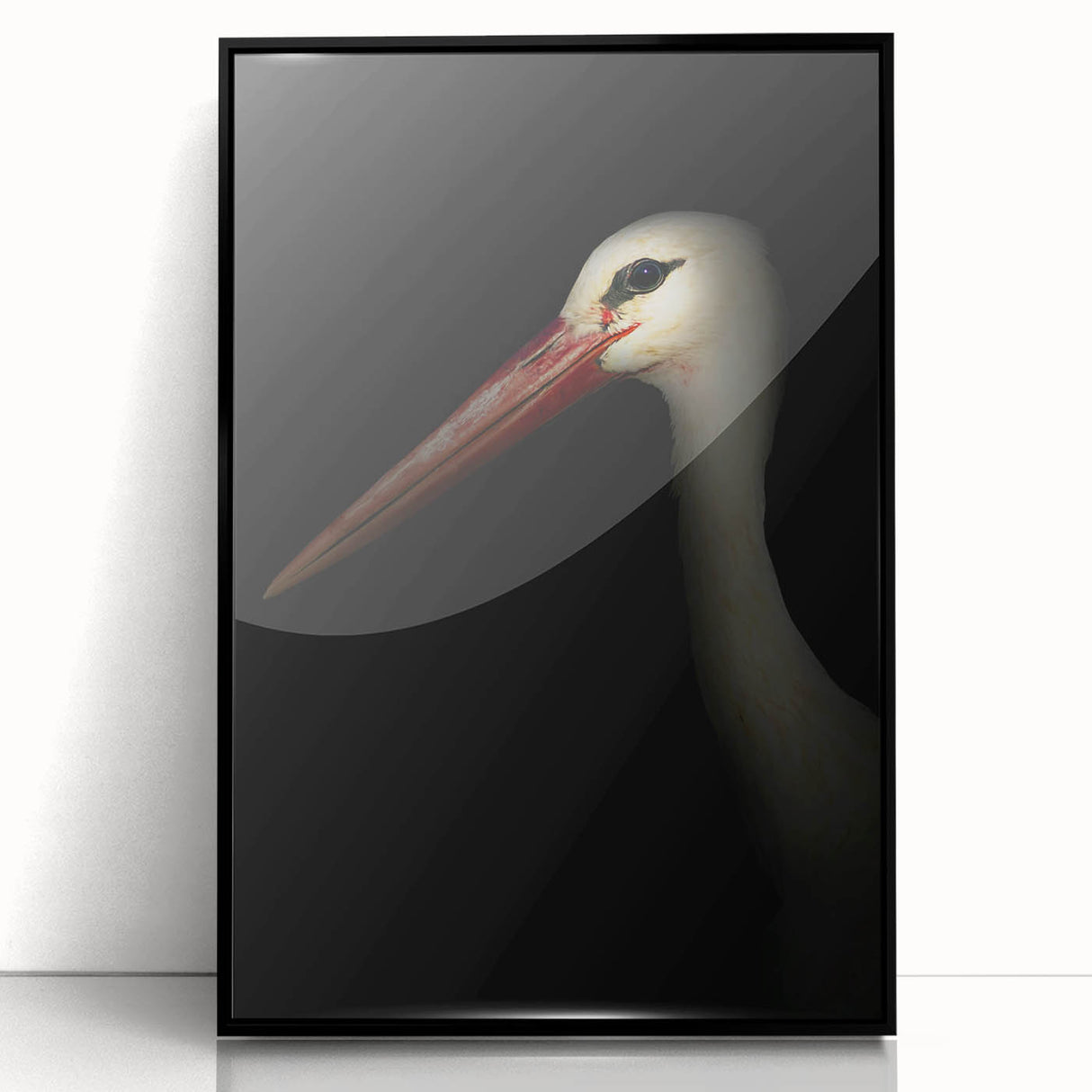 Stork in Shadows - Fine Art Photography Framed Prints