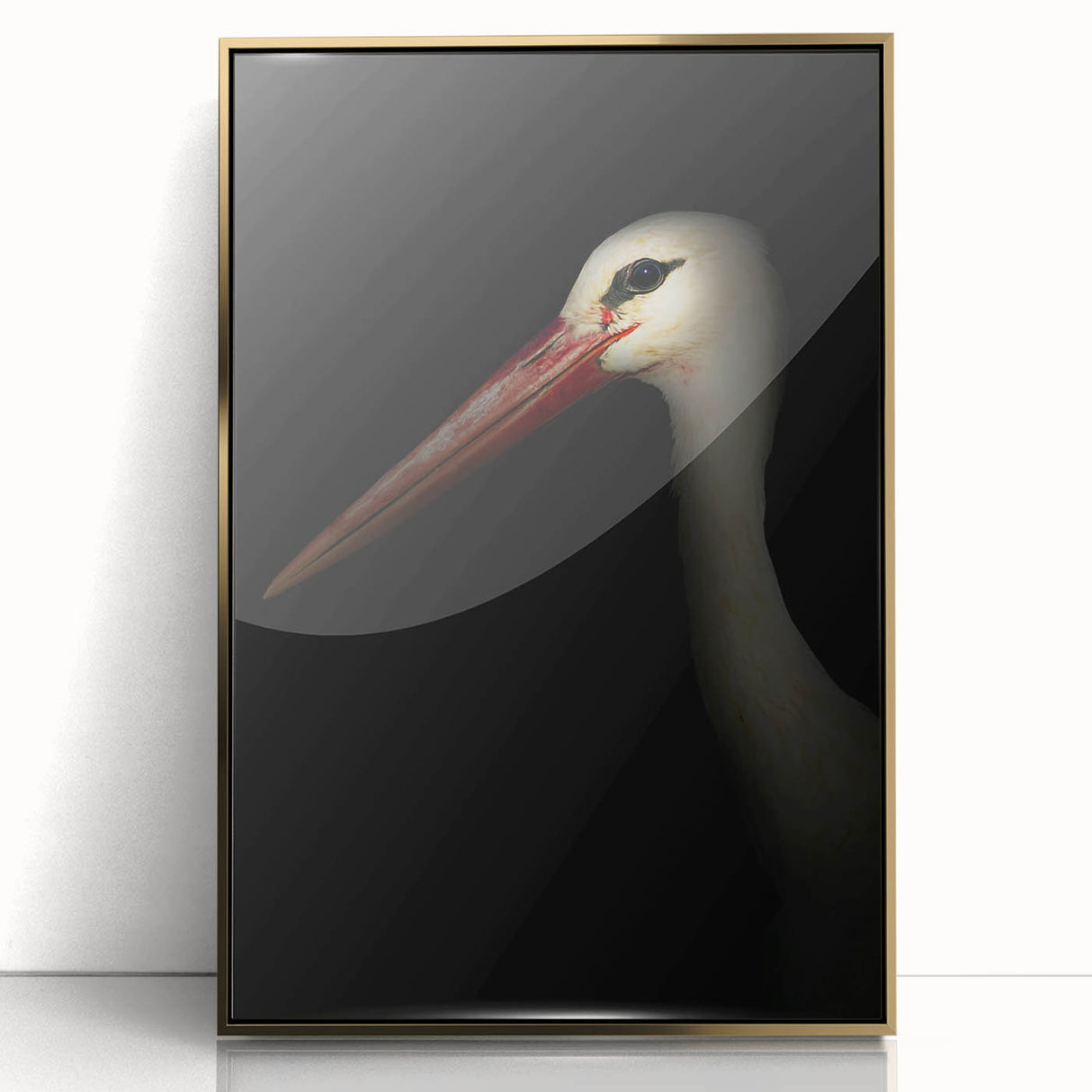 Stork in Shadows - Fine Art Photography Framed Prints