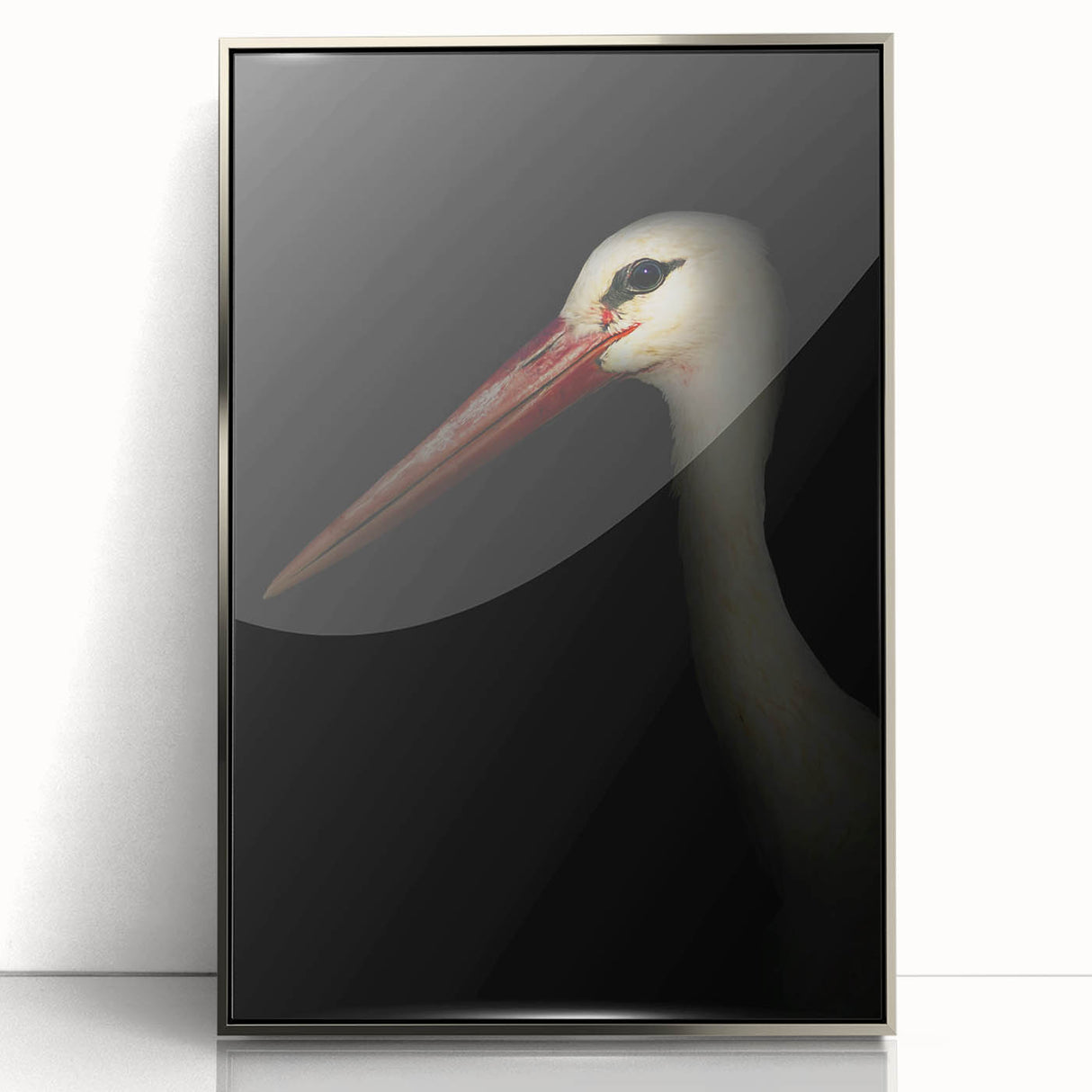 Stork in Shadows - Fine Art Photography Framed Prints