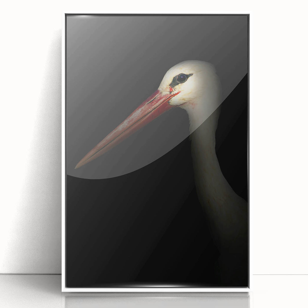 Stork in Shadows - Fine Art Photography Framed Prints