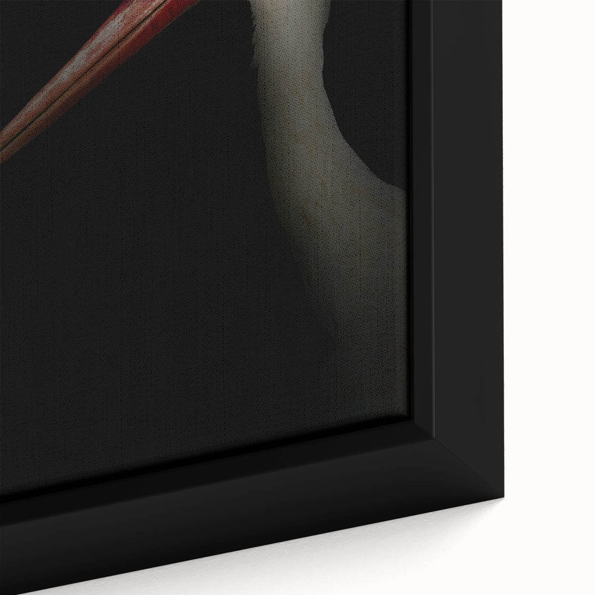 Stork in Shadows - Fine Art Photography Framed Prints