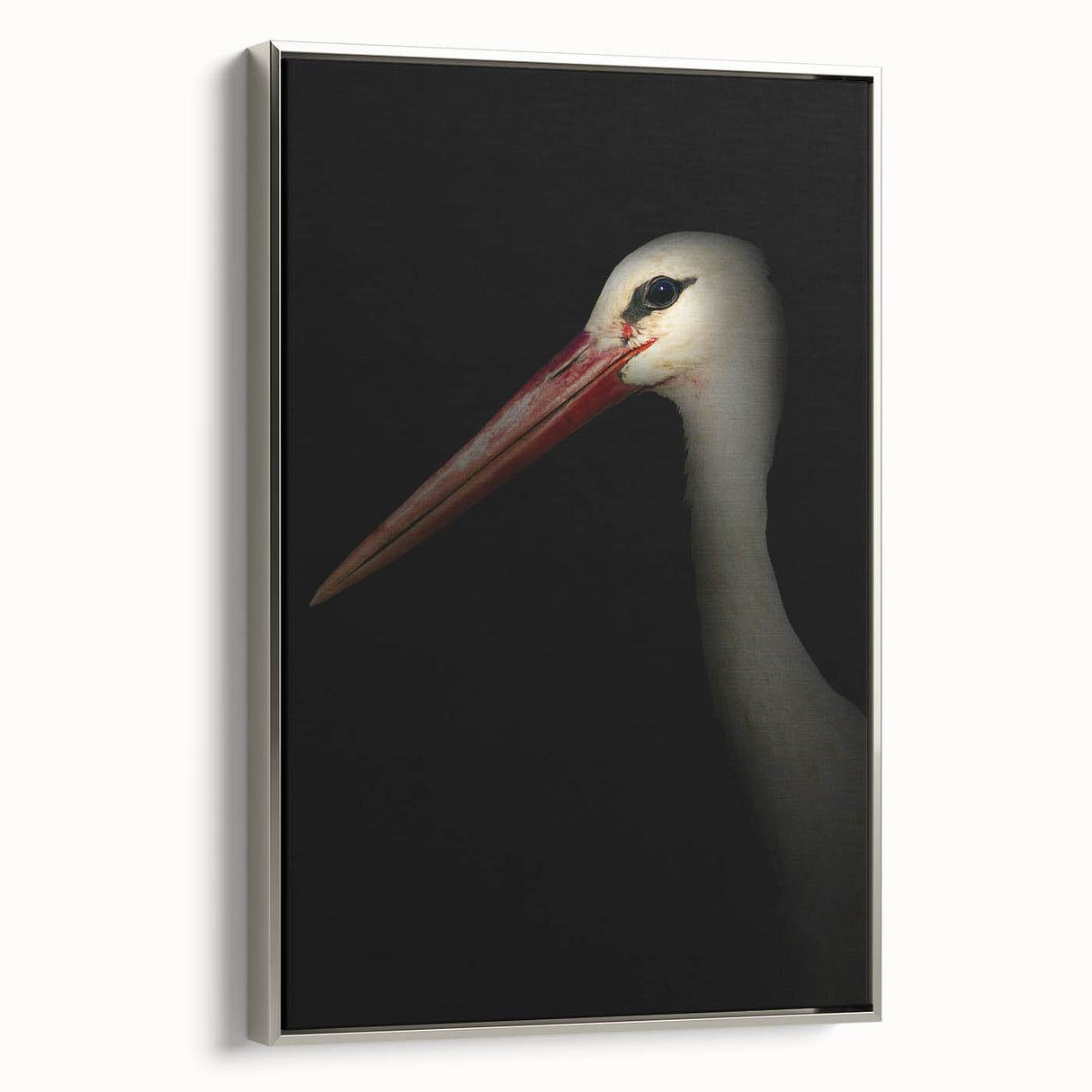 Stork in Shadows - Fine Art Photography Framed Prints