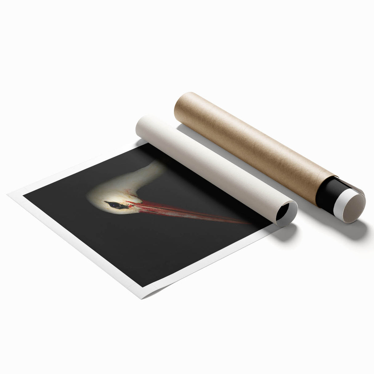 Stork in Shadows - Fine Art Photography Framed Prints