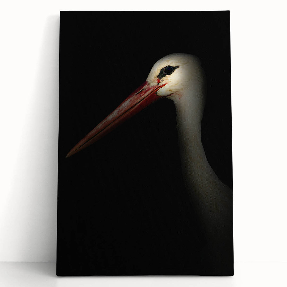 Stork in Shadows - Fine Art Photography Framed Prints