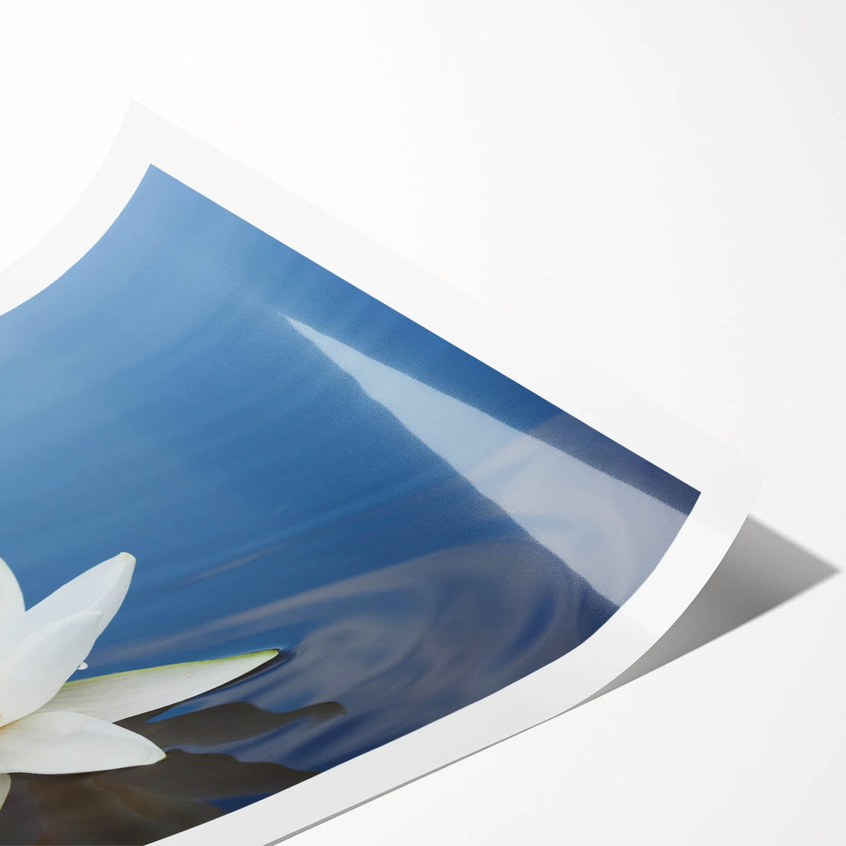 Vibrant floral artwork featuring a colorful bouquet of mixed flowers on a textured canvas, elegantly displayed on a rustic wooden backdrop, ideal for home decor.