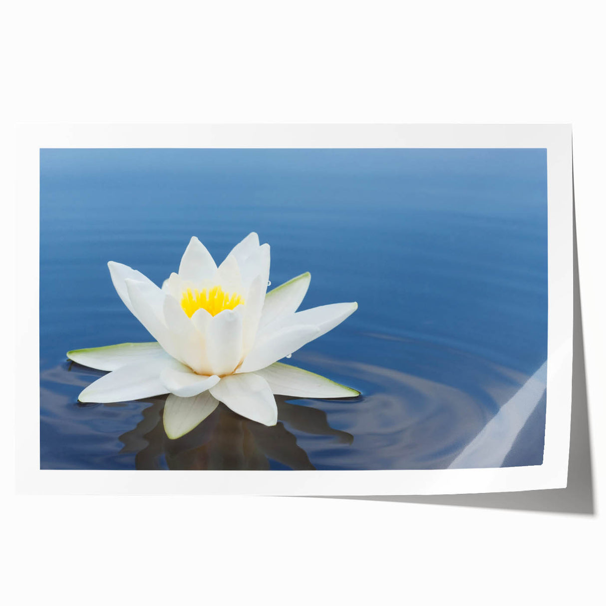 Vibrant floral canvas art print showcasing bold colors and intricate details, rolled and housed in a protective cardboard tube for easy transport and display.