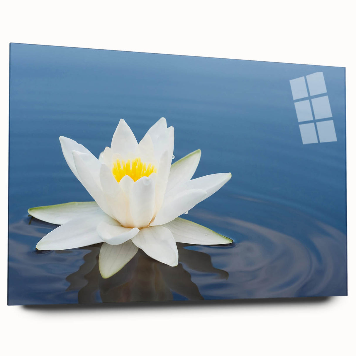 Vibrant floral canvas print showcasing an intricate design of multicolored flowers and foliage, ideal for enhancing home decor with a touch of nature.