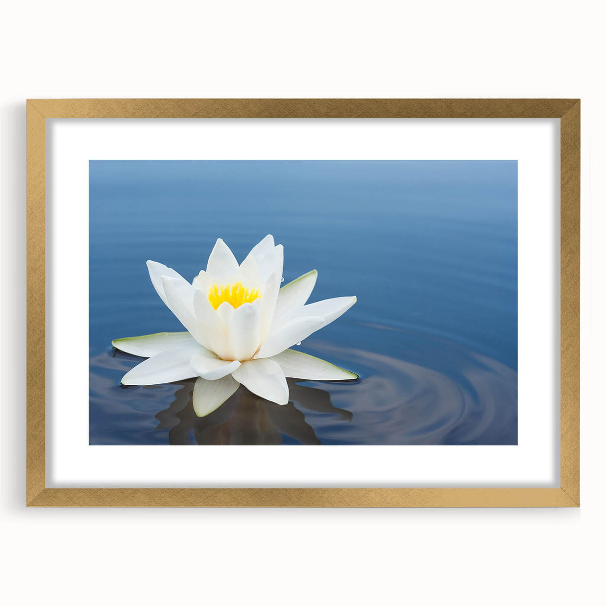 Vibrant floral canvas artwork showcasing intricate flower patterns in rich colors, elegantly displayed on a wooden easel, ideal for home decor and interior design.