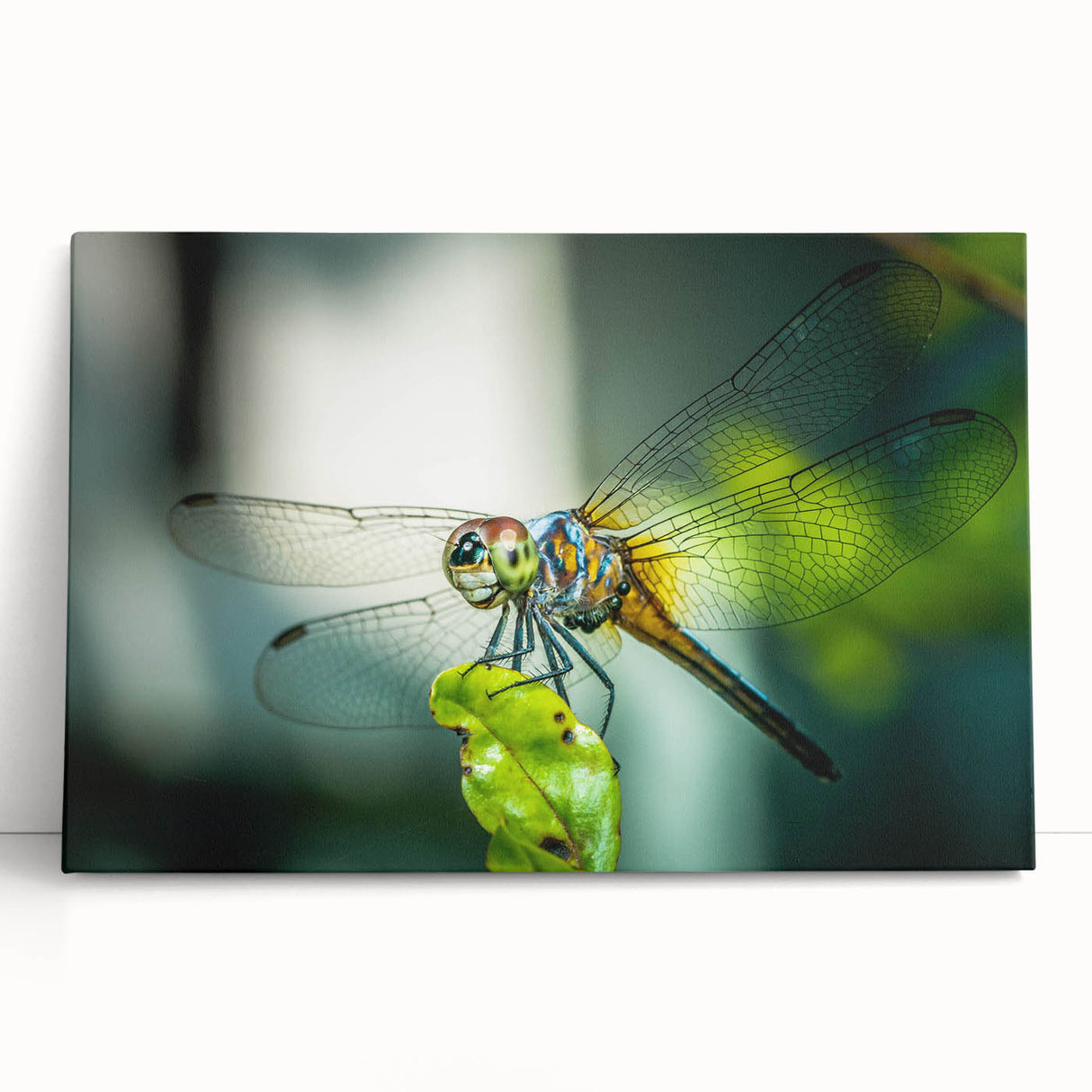 Detailed close-up of a vibrant insect illustration on a textured canvas, showcasing intricate colors and patterns, ideal for nature-themed decor.